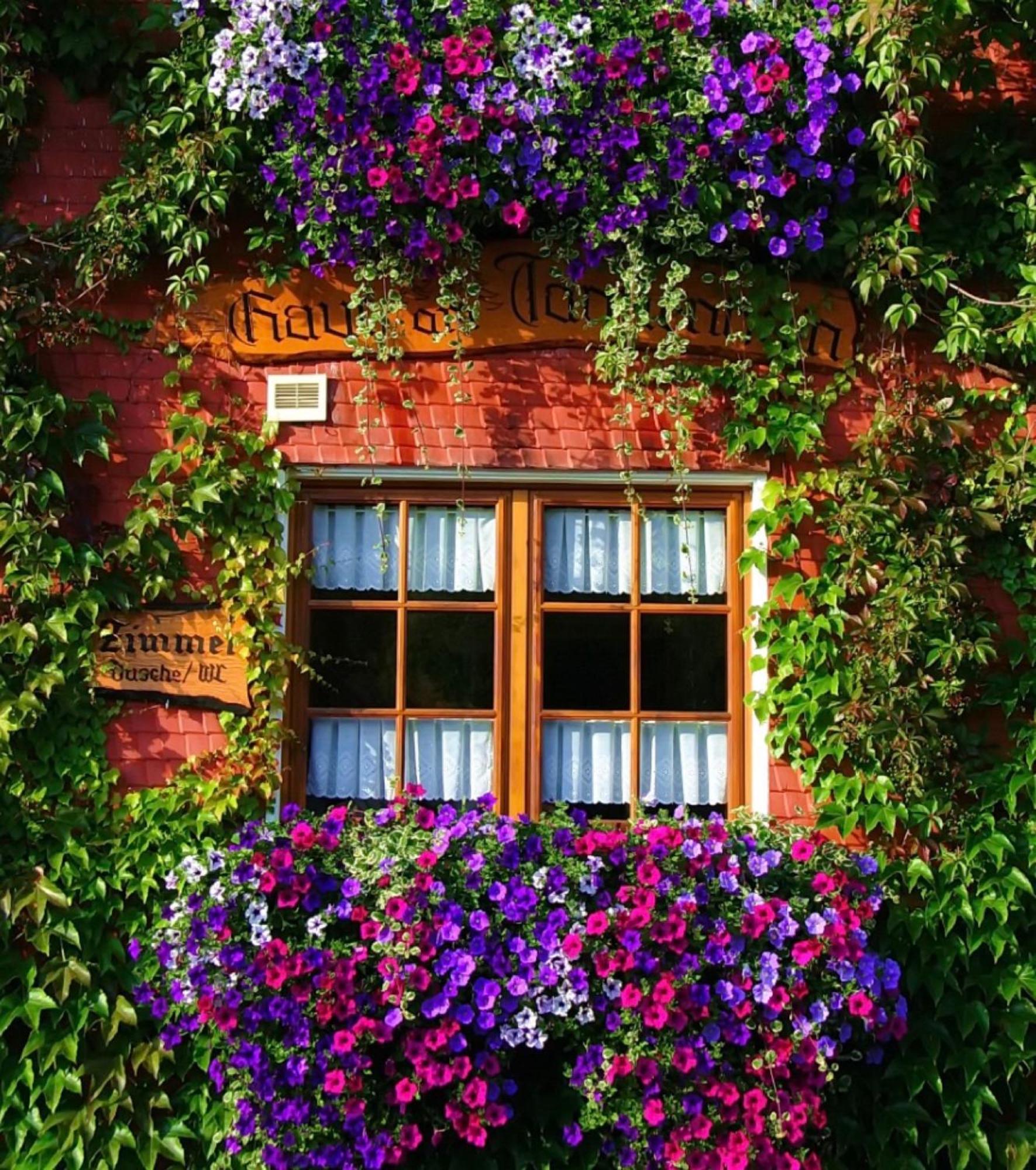 Haus Am Tannenhain Титизее-Нойщат Екстериор снимка